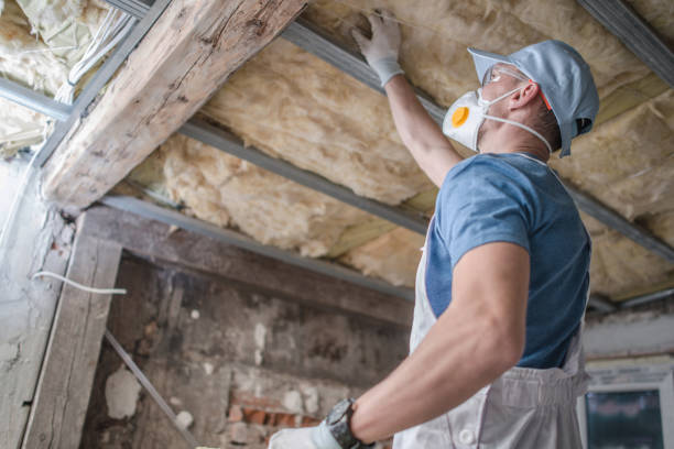 Best Energy Efficiency Insulation in Horse Pasture, VA