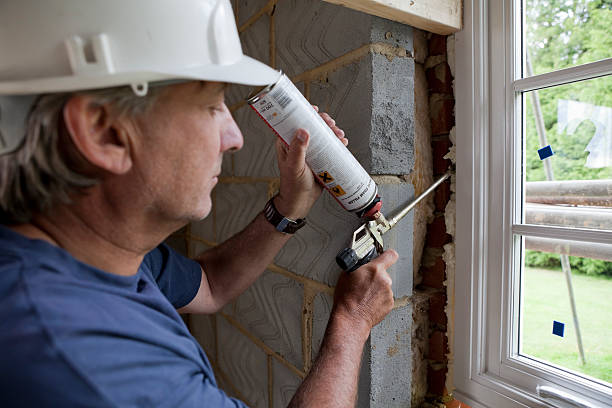 Best Geographic-Specific Insulation Services in Horse Pasture, VA