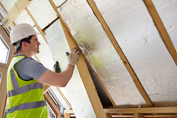 Best DIY Insulation Kits and Guidance in Horse Pasture, VA