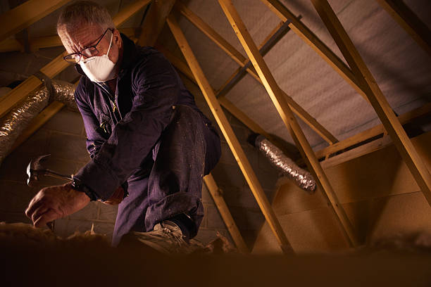 Best Spray Foam Insulation in Horse Pasture, VA